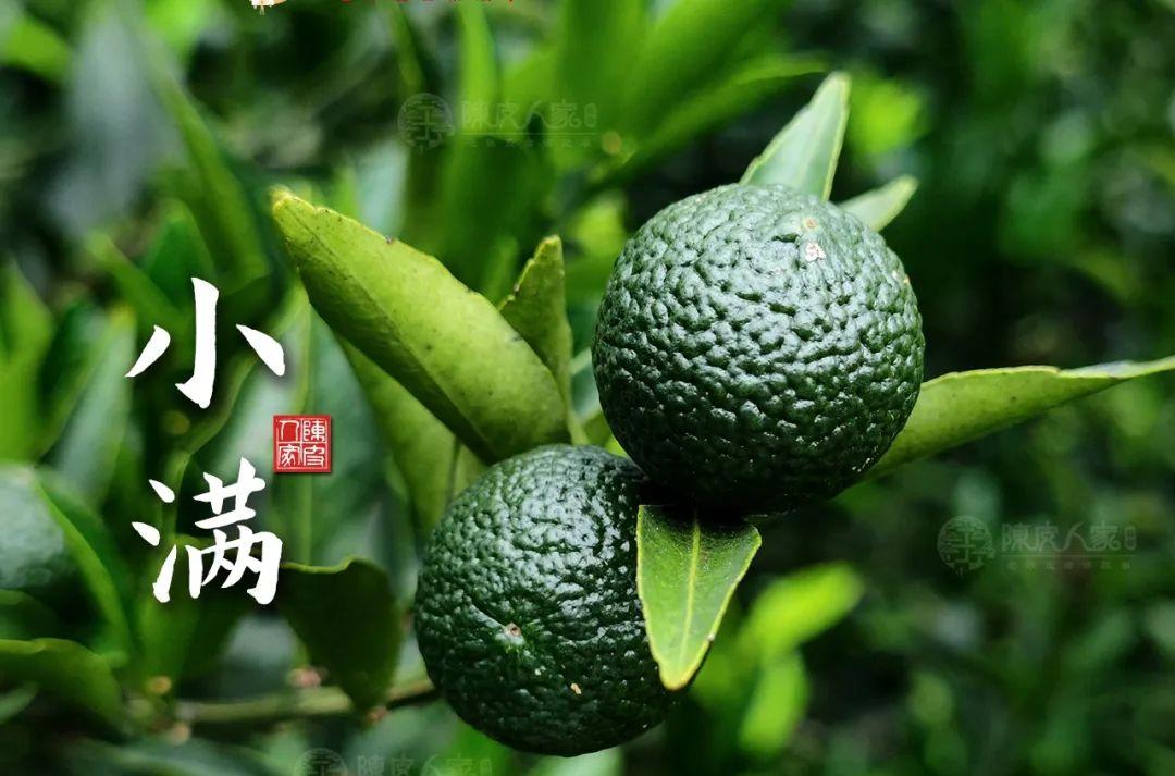 陈皮食谱 小满节气：养生防暑，添衣防凉，迎接炎夏