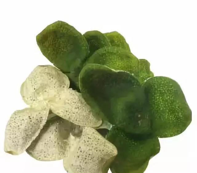 陈皮内囊：真假新会陈皮辨别的重要依据