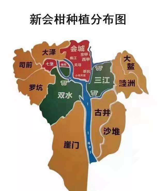 如何挑选正宗新会陈皮？认准这些特色工艺和地理环境