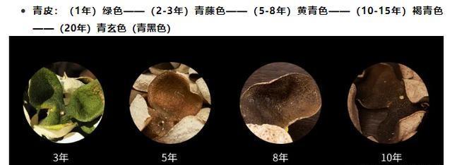 陈皮年份判断方法大揭秘：从外表、质地到气味，全面解析陈皮年份