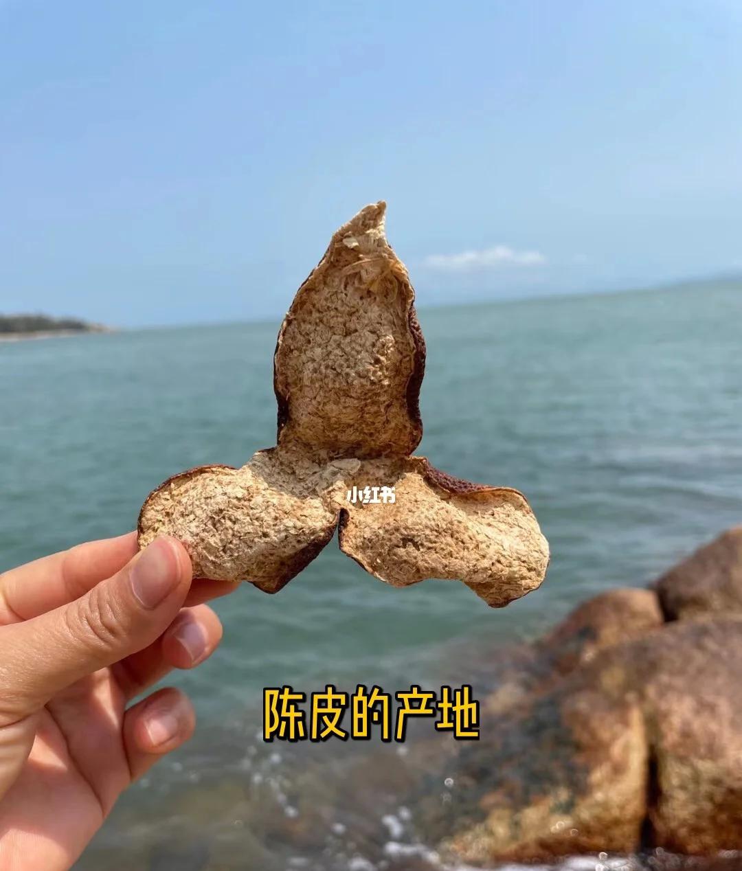 陈皮的分类_陈皮分类有哪些_陈皮分类分为哪三类