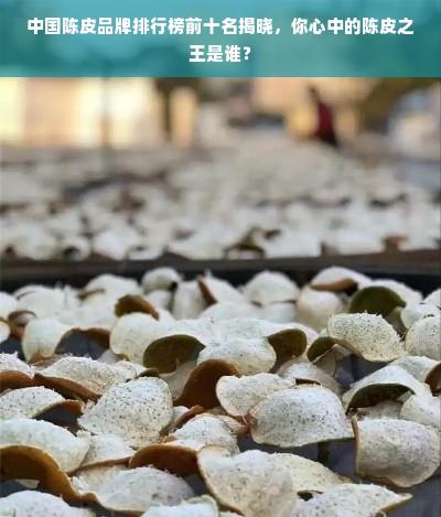 广云双宝GYDP 2024 年中国陈皮品牌排行榜前十名揭晓，你心中的陈皮之王是谁？
