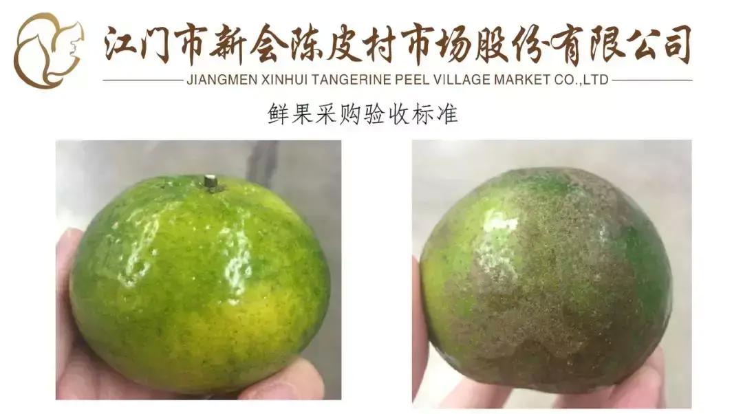 陈皮新会价格_陈皮新会的功效与作用_新会陈皮