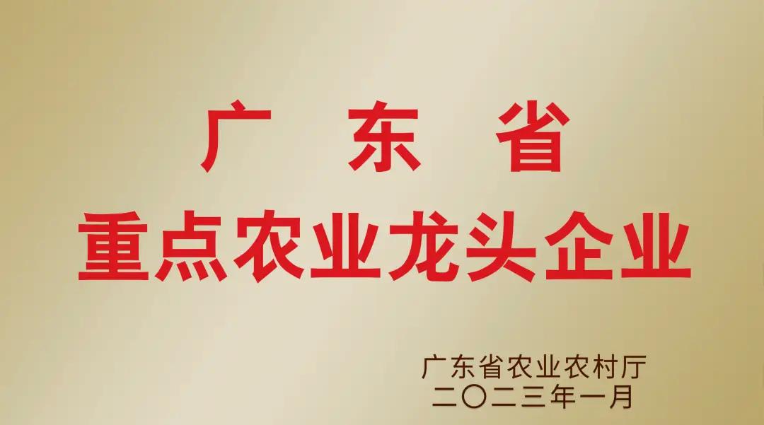 品质效益齐头并进，泓达堂入选 2022 年广东省重点农业龙头企业