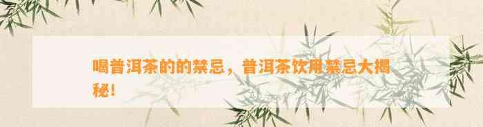 生普洱茶的功效与禁忌：降脂减肥、降血压，但这些禁忌你必须知道