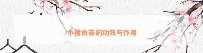 小柑白茶的功效与作用，你了解多少？：抗氧化、提神醒脑、改善消化等