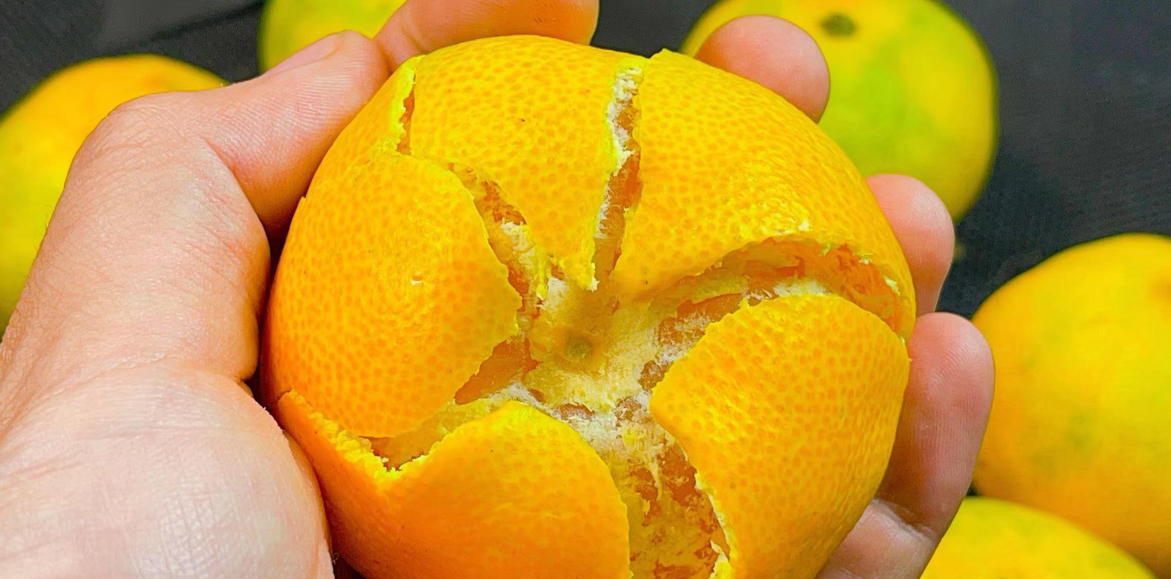 橘子皮别再扔了！这几个小妙招，让你的生活更便利