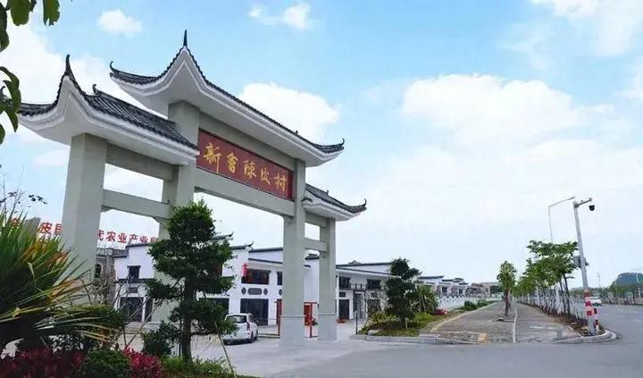 江门新会陈皮村：老陈皮年份造假需打击，行业自律与消费者教育至关重要