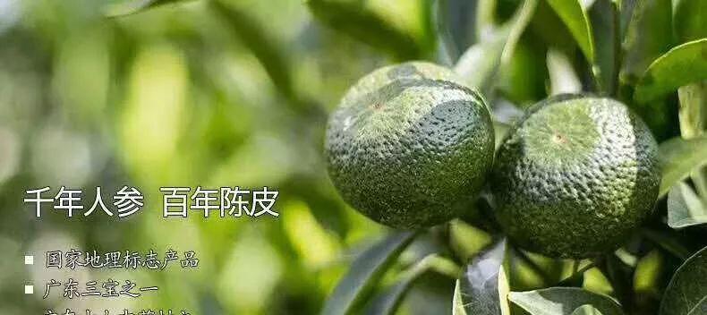 陈皮茶的 8 款饮品搭配，神奇妙用和功效你知道吗？