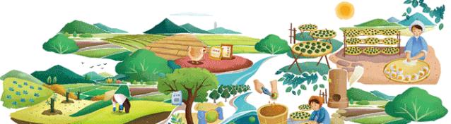2020 年 12 月 12 日广云双宝新会陈皮北京路采芝林展示开皮工艺