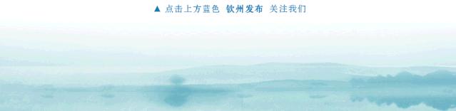 老树陈皮 2023年浦北县小陈皮大产业助力乡村振兴新闻发布会成功举行