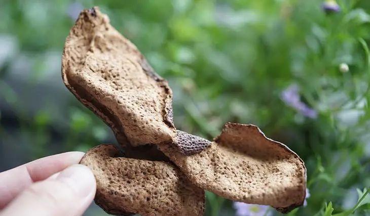 陈皮：从橘皮到珍贵药材，为何以陈为贵？