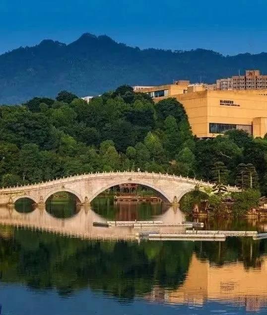 陈皮兔 重庆璧山区春游打卡好去处：秀湖公园与观音塘湿地公园赏花观鸟全攻略