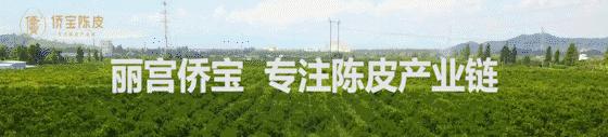 2020侨宝陈皮证载提仓火热预售，新会陈皮潜力无限