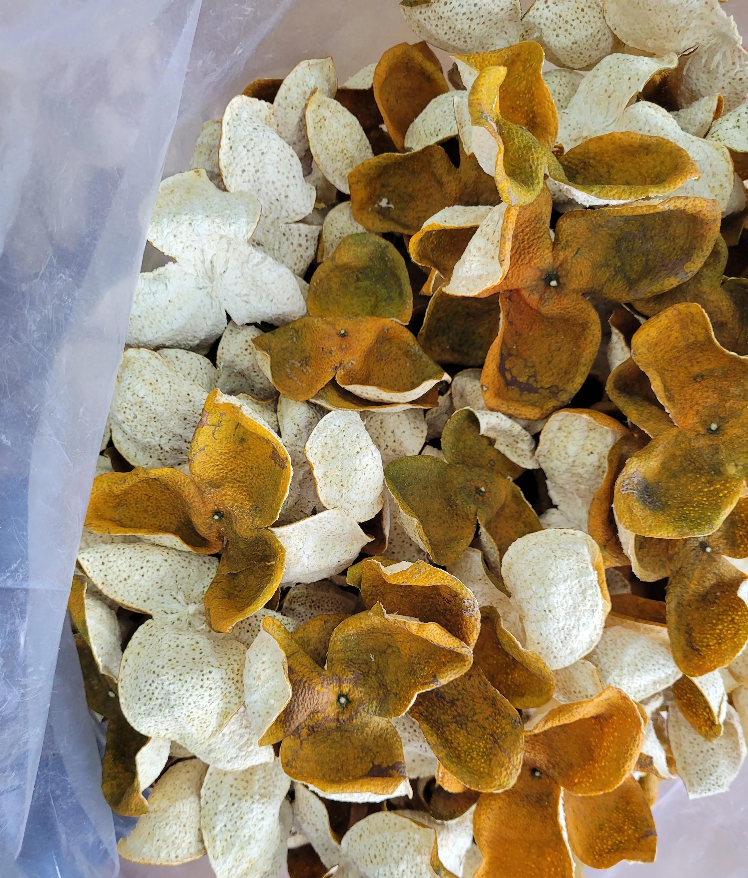 新会陈皮受雨水影响收果减产，种植到期对其影响探讨