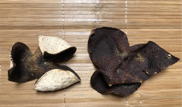 秋风渐凉新会茶枝柑果采摘期到来，青皮红皮陈皮有何区别？
