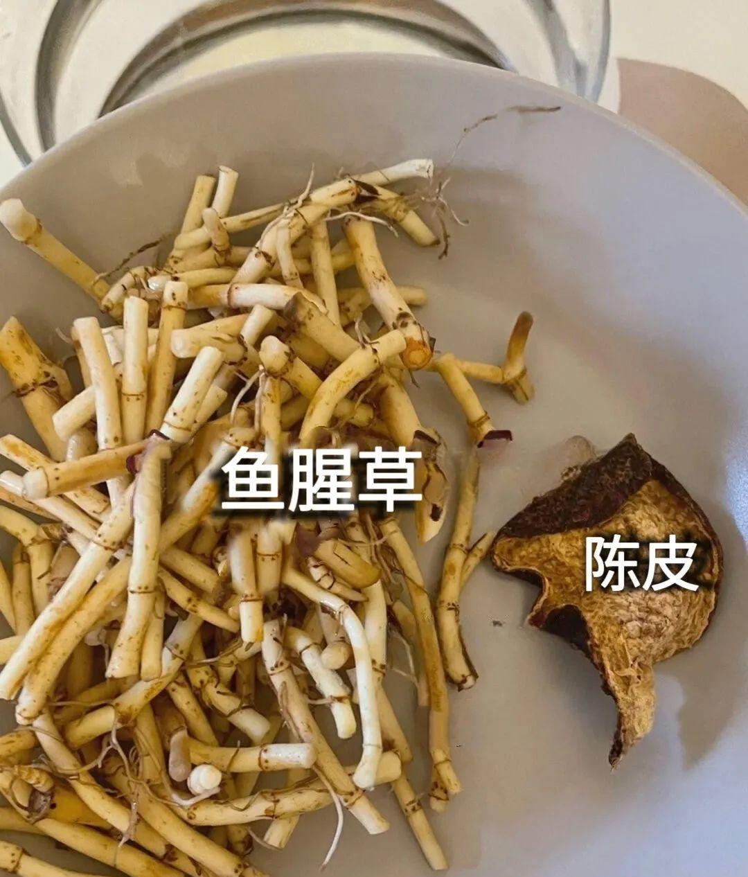 流感季节必备：鱼腥草陈皮水与陈皮粥的养生功效与做法