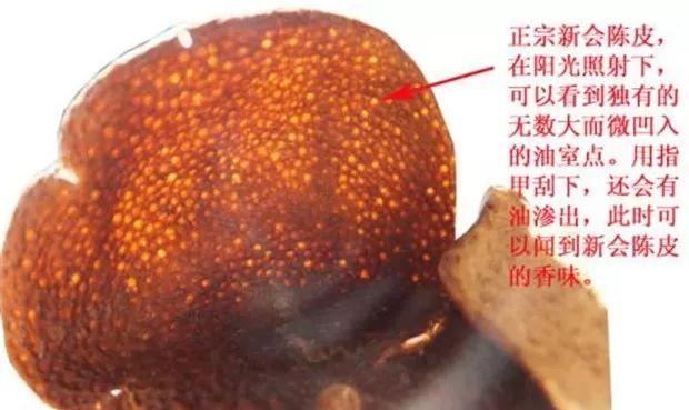 新会陈皮泡水功效解析：理气健脾、燥湿化痰，百年陈皮价值超黄金