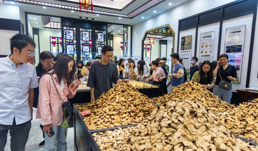 新宝堂携手新会文旅抓住深中通道机遇，共推大湾区旅游与非遗文化