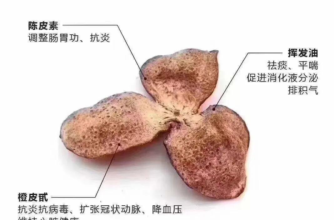 陈皮与白茶的健康功效：从宋代至今的药用与食用价值