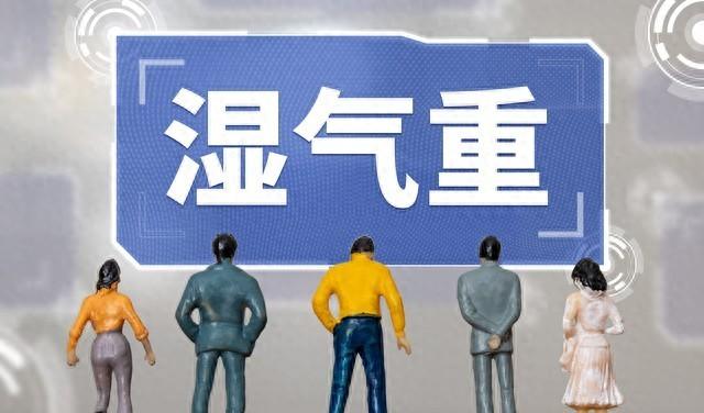 中医祛湿三宝：轻松赶走湿气，恢复健康活力的秘诀