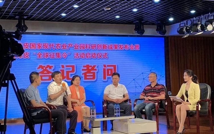 新会人最懂陈皮：从佳肴到入药，新会陈皮全球征集启动