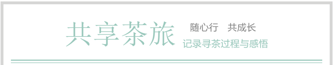 陈皮存储与翻晒全攻略：如何保持品质并提升价值