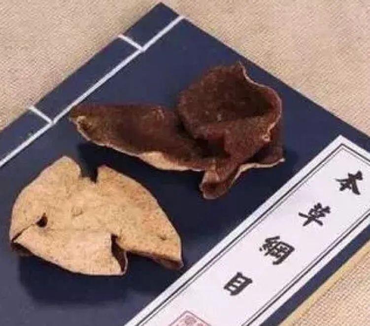 新会陈皮产区分布全解析：东甲、梅江、天马等主要产区及其特色
