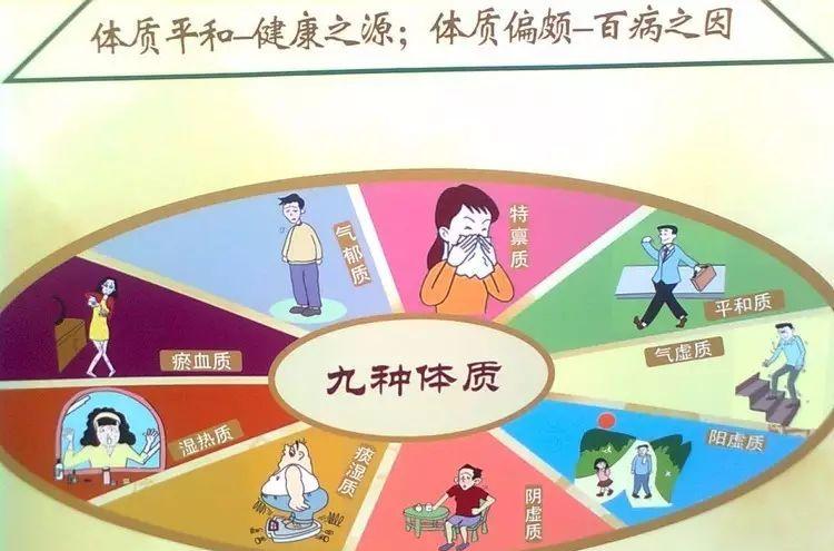 中医体质与茶叶选择指南：九种体质如何喝对茶以健体养身