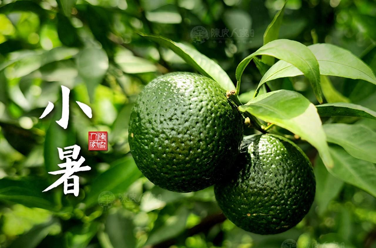 小暑时节必尝莲藕陈皮食谱，解暑养生安然度夏