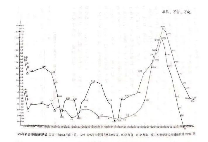 20年新会陈皮靠谱吗？揭秘1990-2000年黑暗十年背后的真相