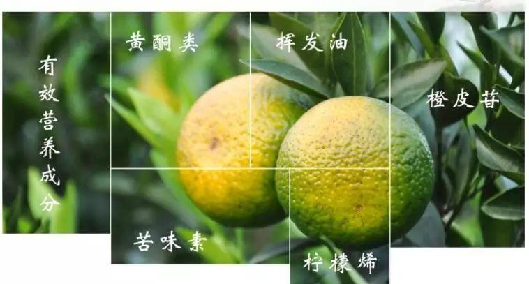 广东新会陈皮：正宗地道好陈皮，泡水首选江门特产