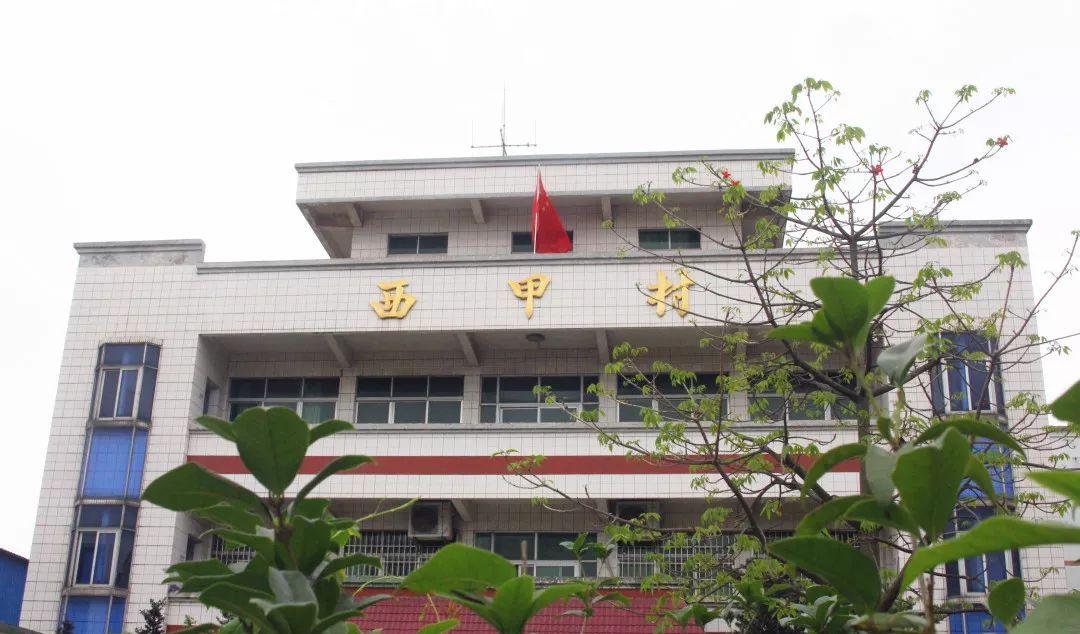 新会西甲：源远流长，土地独到之处、尊老敬宗及文化传承