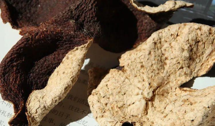 中医视角：陈皮茶像家庭医生，可祛湿气化痰液调脾胃